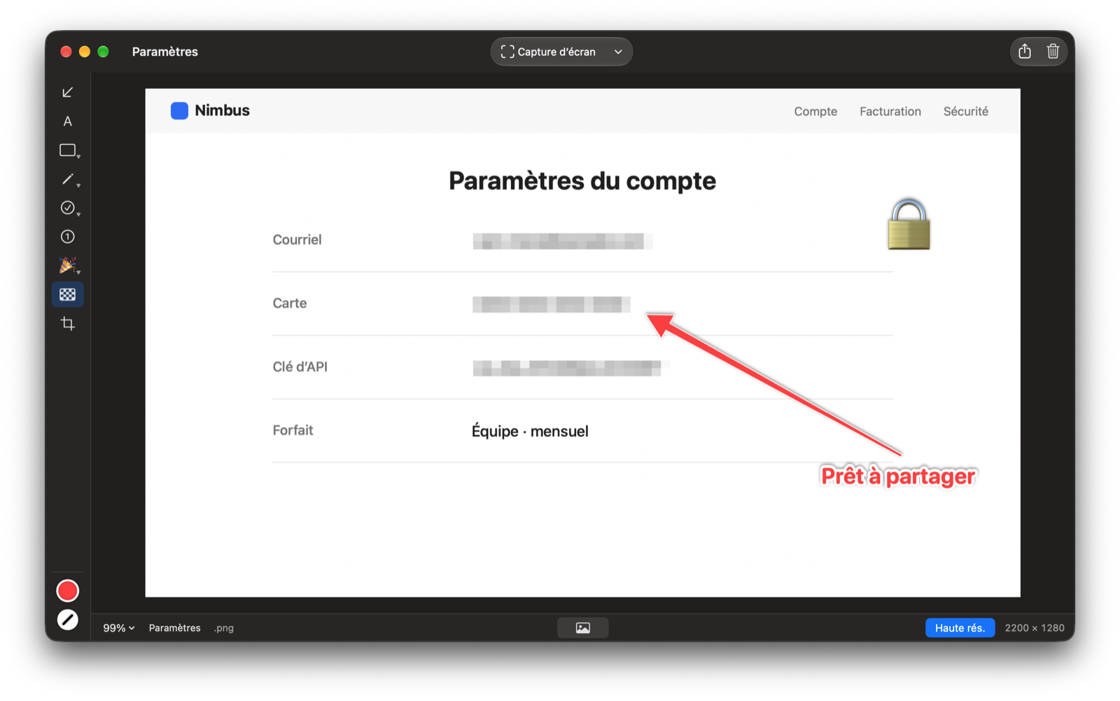 Paramètres du compte avec le courriel et le numéro de carte pixelisés